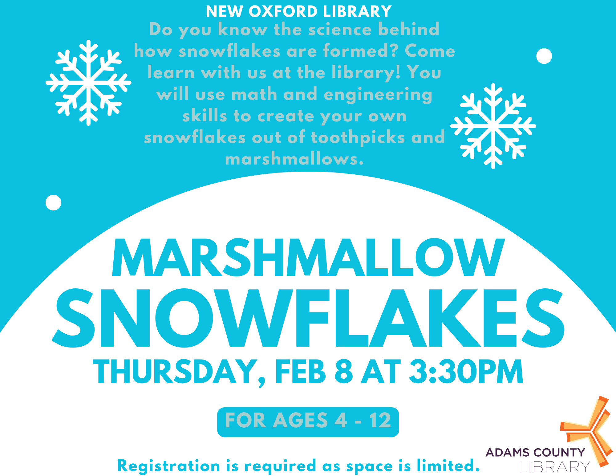 Marshmallow Snowflakes Adams County Library   Marshmallow Snowflakes NEW Winter 2024 